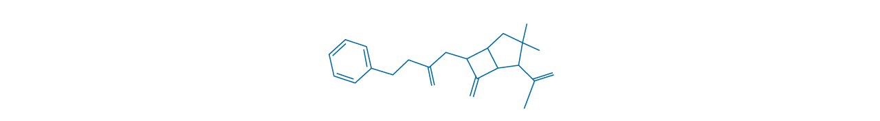 Text of the image